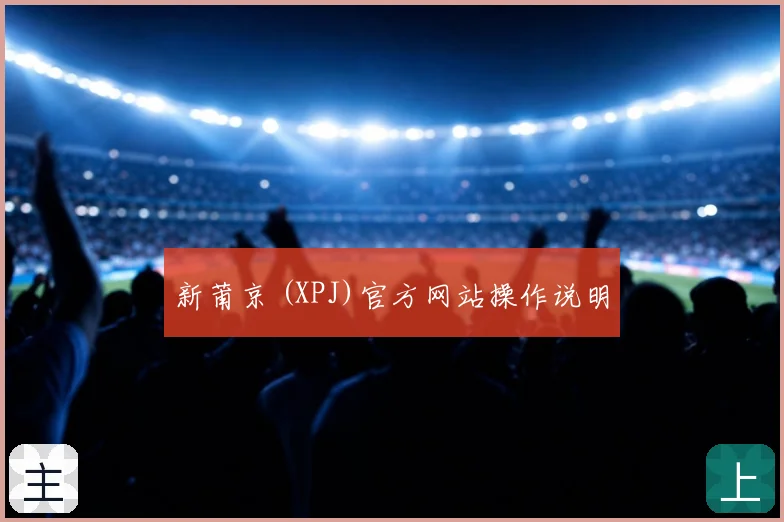 新莆京 (XPJ)官方网站操作说明